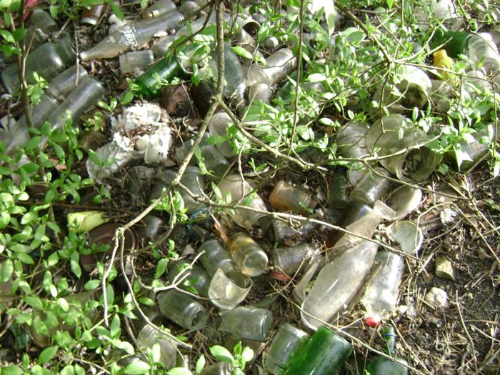 sklo lze odkládat do kontejnerů na sklo - ZDARMA