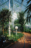 Palmový skleník