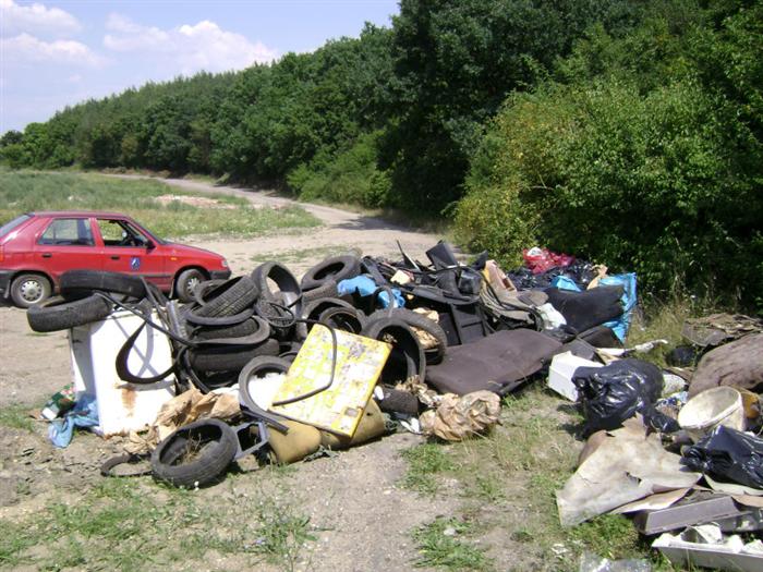 posbíraný odpad z lesa