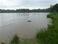 povodně - 2. 6. 2013