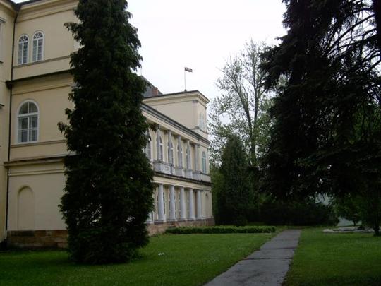 Cestička k zámeckému rybníku