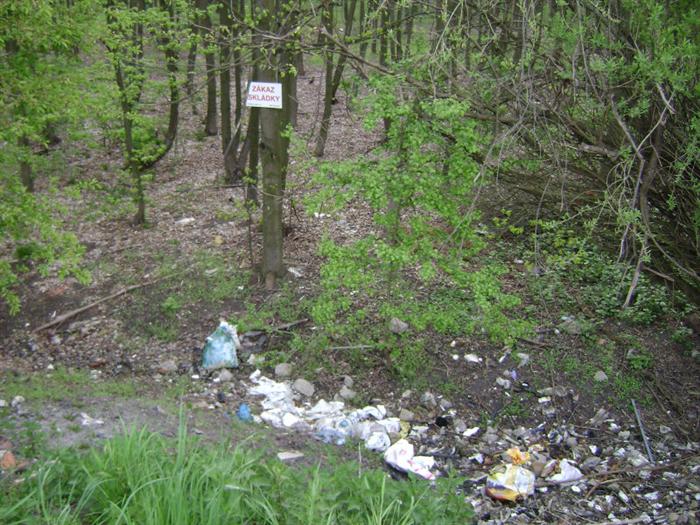 skládka v lese