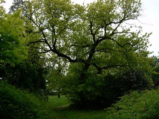 Krásné zákoutí 1